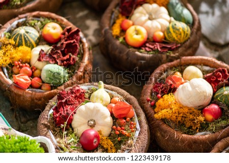 Picture of autumn market. Pumpkin and vegetables on the ground.