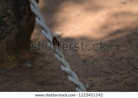 Butterfly Rope IsIand