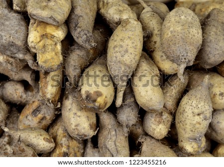 Background with Vegetable  in the thai market, picture use for design, advertising, marketing, business and printing