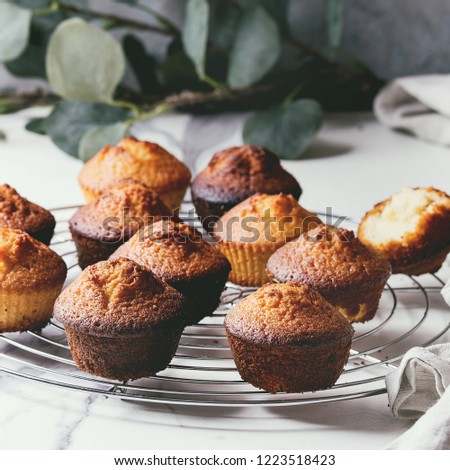 Fresh baked homemade lemon cakes muffins standing on cooling rack with eucalyptus branch over white marble kitchen table. Square image
