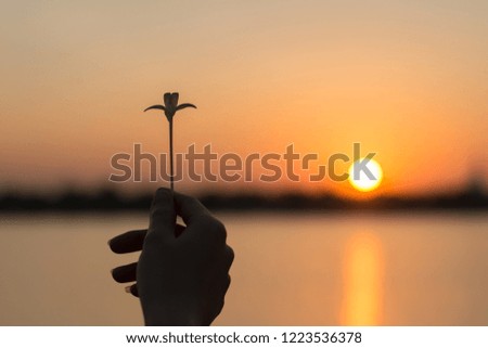 Silhouette close up woman hands holding flower in the park,Hope concept.