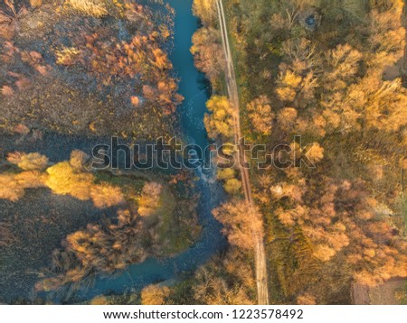 River and autumn trees - top view