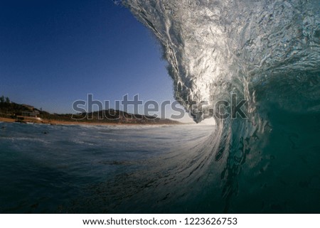 early morning breaking wave