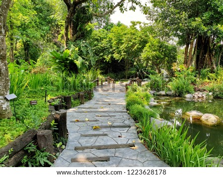 Walkway and wooden bridge in the garden