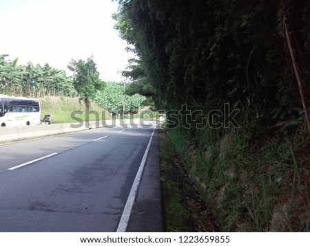 banana cultivation  plus road between Manizales and Chinchina, Caldas, Colombia