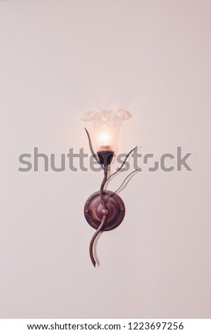 Beautiful lamp on the wall