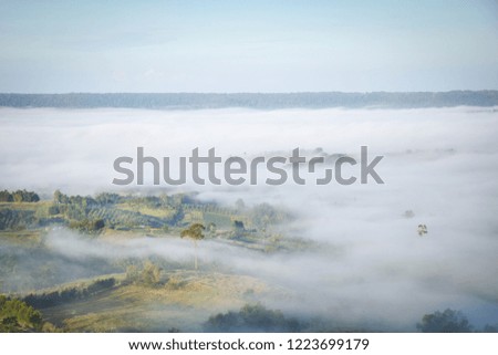 Beautiful the sea of fog in the morning.