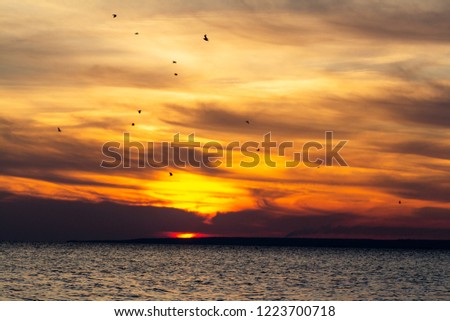 background of sunset on the sea, birds fly among the clouds lit by the rays of the sun, beautiful landscape,silhouette of a flock of birds flying to warm lands