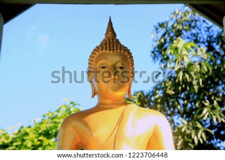 Buddha in the temple of Thailand