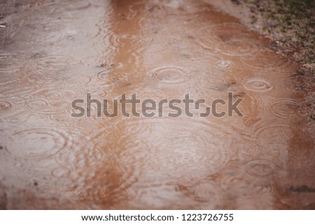 Close-Up Of Wet Umbrella. Full Frame Shot Of Raindrops On Water. Close-up of a large puddle of water with splashing raindrops during a downpour.