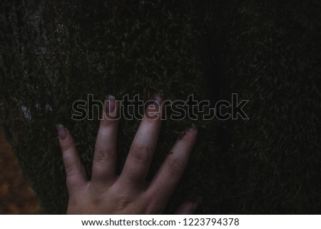 female hand touching a tree covered in moss in a beautiful dark autumnal forest 