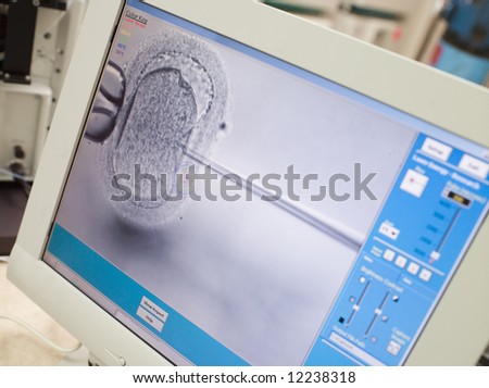 Monitor showing intra cytoplasmic sperm injection (ICSI) Royalty-Free Stock Photo #12238318
