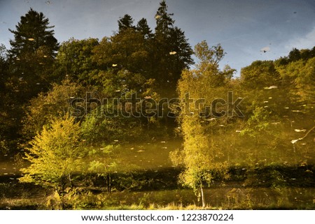Mirror Imaging off Autumn Forest , Nature Picture in Autumn Season 