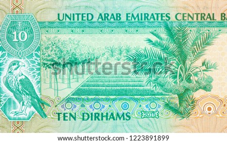 
Sparrowhawk, Ideal tree farm; palm tree. Portrait from United Arab Emirates 10 Dirhams 1998 Banknotes. 