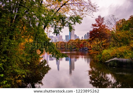 fall in Central Park in New York city 