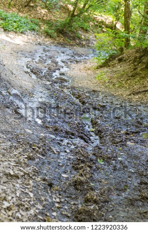 Little creek in the forest in the spring - outdoor photography