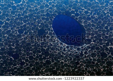 
blue sponge close up macro