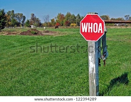 stop sign in horse pasture