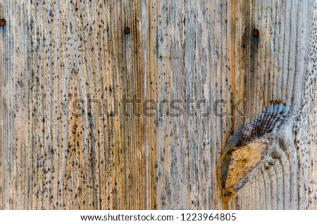 Old wooden background. Wooden table, floor or wall.