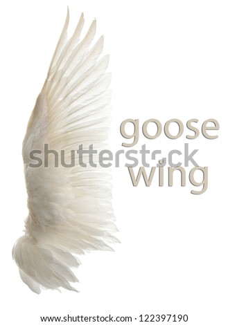 Natural white goose wings. Isolation. Royalty-Free Stock Photo #122397190