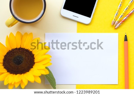 Top view flat lay picture with white clean blank for your text on yellow background.
