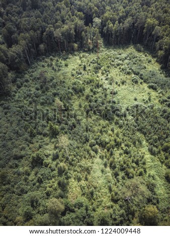 Aerial Drone Photo of the Countryside Forest, Top Down View in Sunny Summer Day - Background Material, Vintage Look Edit