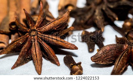 various aromatic spices and herbs on white background. star anise, clove, cardamom, and cinnamon stick