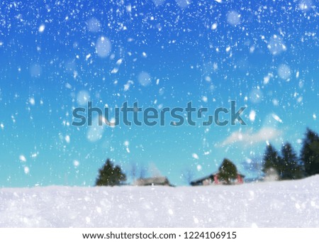 Snow fall winter landscape with snow or hoarfrost covered, Christmas background , copy space 