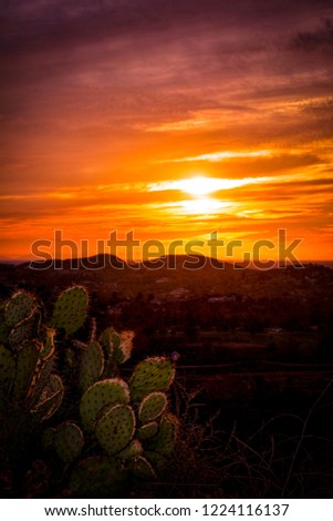 Autumn Sunset In California 