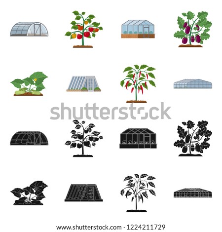 Vector illustration of greenhouse and plant icon. Collection of greenhouse and garden vector icon for stock.