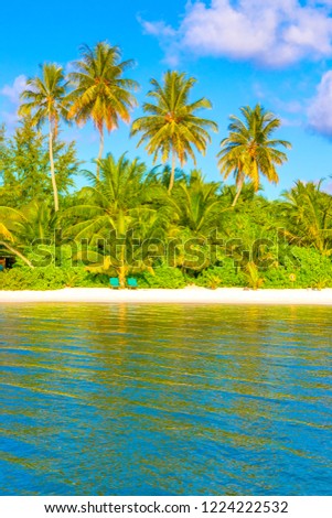Tropical sandy beach