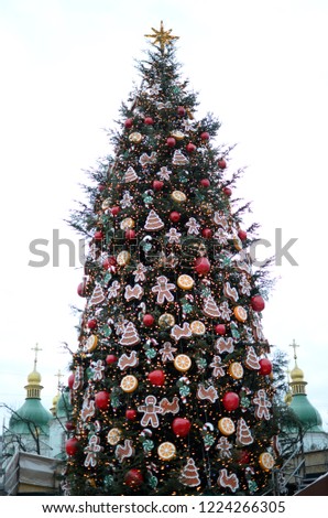 Christmas tree is on the street, dressed up with ornaments and a garland, the street is decorated for the holiday, mass festivities. Christmas tree in Kiev.