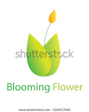 Vector Blooming Flower Logo Design Template Icon