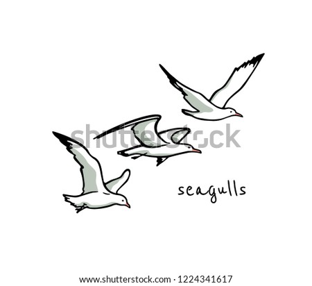 Vector card with  hand drawn flying seagulls. Ink drawing, beautiful animal design elements.
