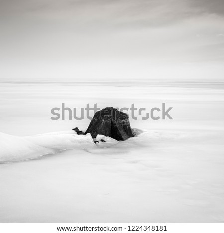 Scene in frozen lake during winter