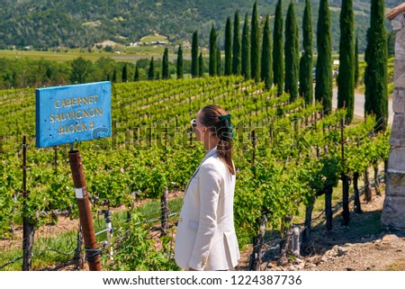 Cabernet Sauvignon wine grape variety sign. Vineyards landscape in California, USA