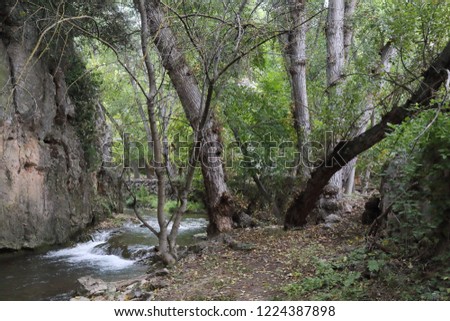 The Mesa river in its canyon, next to some rocks and a path in the Los Prados forest next to the rural small town of Jaraba, in Aragon region, Spain