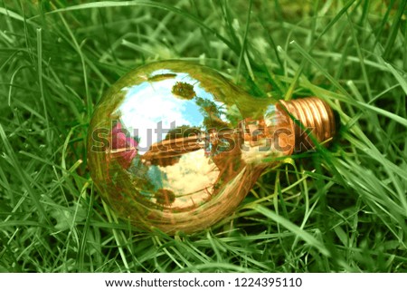 Light bulb in green grass
