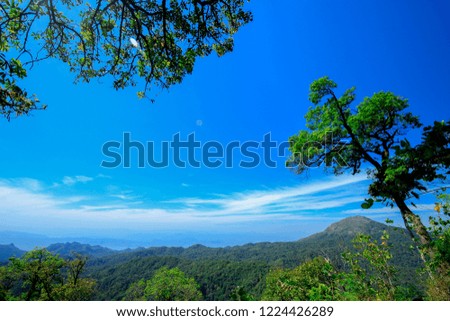 Mountain trees, natural sky