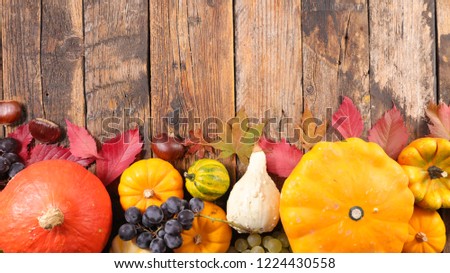 set of colorful pumpkin frame