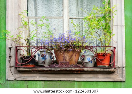 picture of flower pots standing on a windowsill of an old decayed house