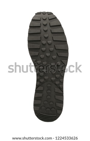 Sole isolated on a white