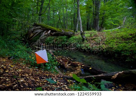 Orienteering in autumn forest and check point Royalty-Free Stock Photo #1224559933