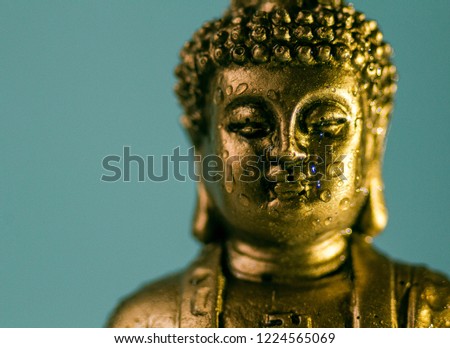 Macro photography of Gautama Buddha with waterdrops on his face.