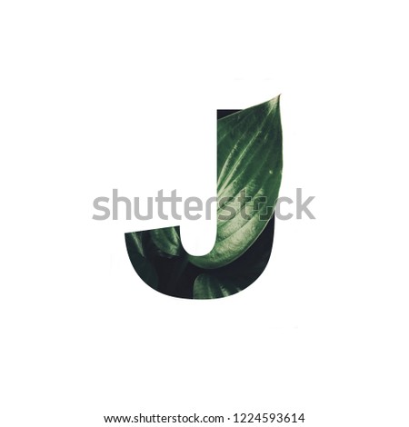 Letter art in the white background poster and logo