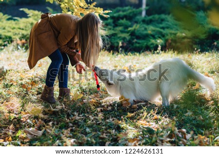 girl walks at autumn yellow park with young white Swiss shepherd dog