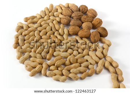 Peanuts and walnuts on a white background in the shape of a cartoon bubble