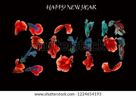 Happy new year 2019, background using betta fish