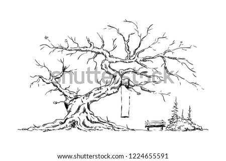 vector - Big old tree - isolated on background -Happy place , bench