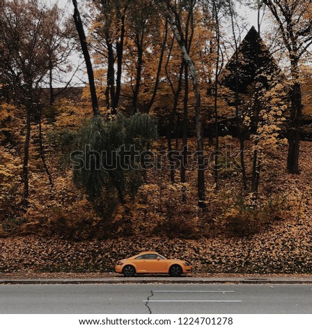 Orange car stands along the road near the yellow trees. Autumn forest. Forest house on the hill
